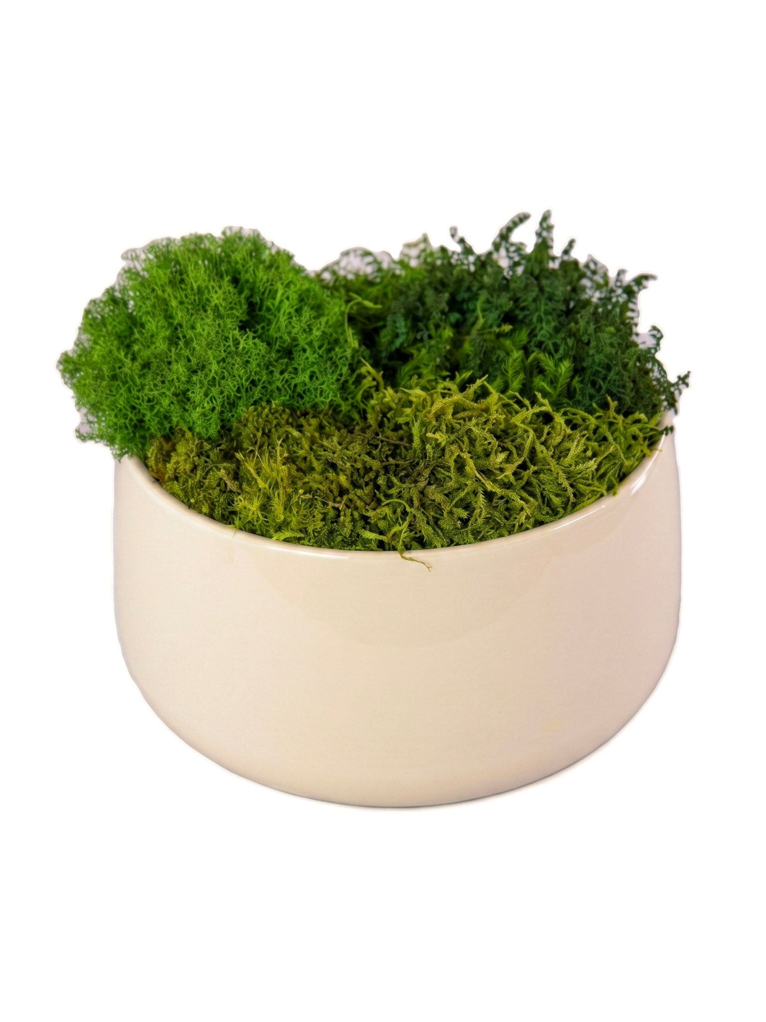Ivory Moss Bowl II