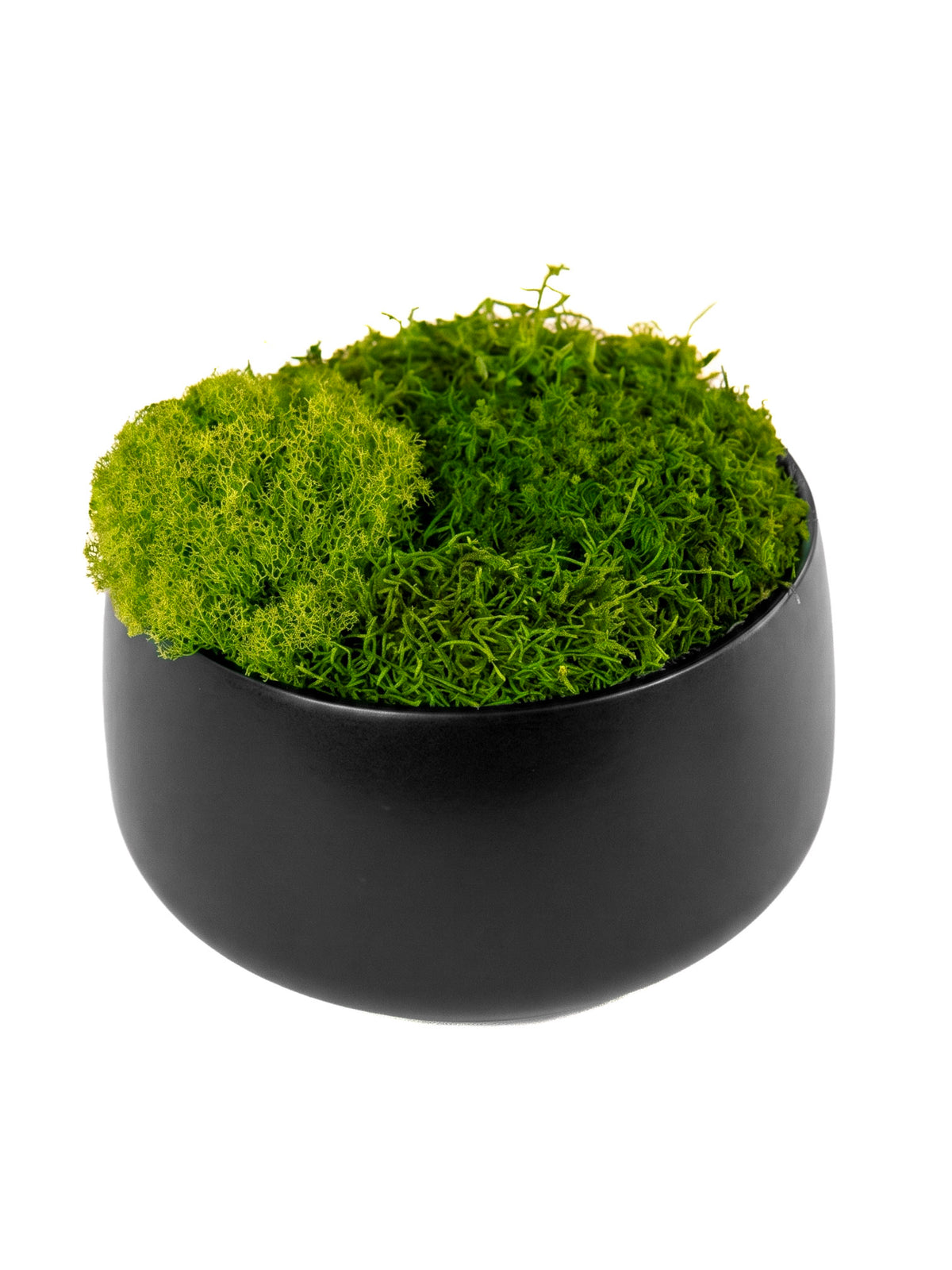Moss Bowl Obsidian II