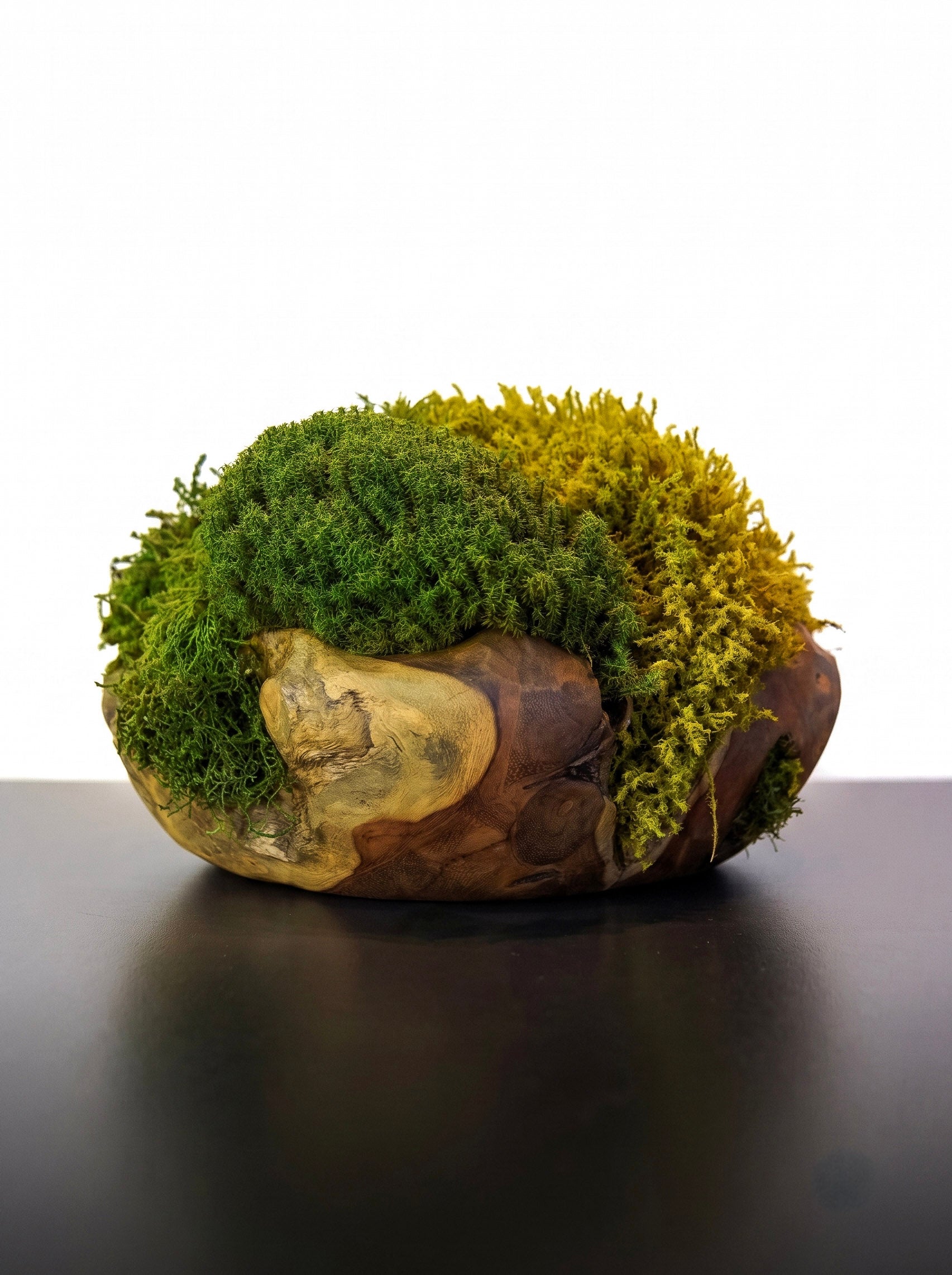 Escultura Root llI