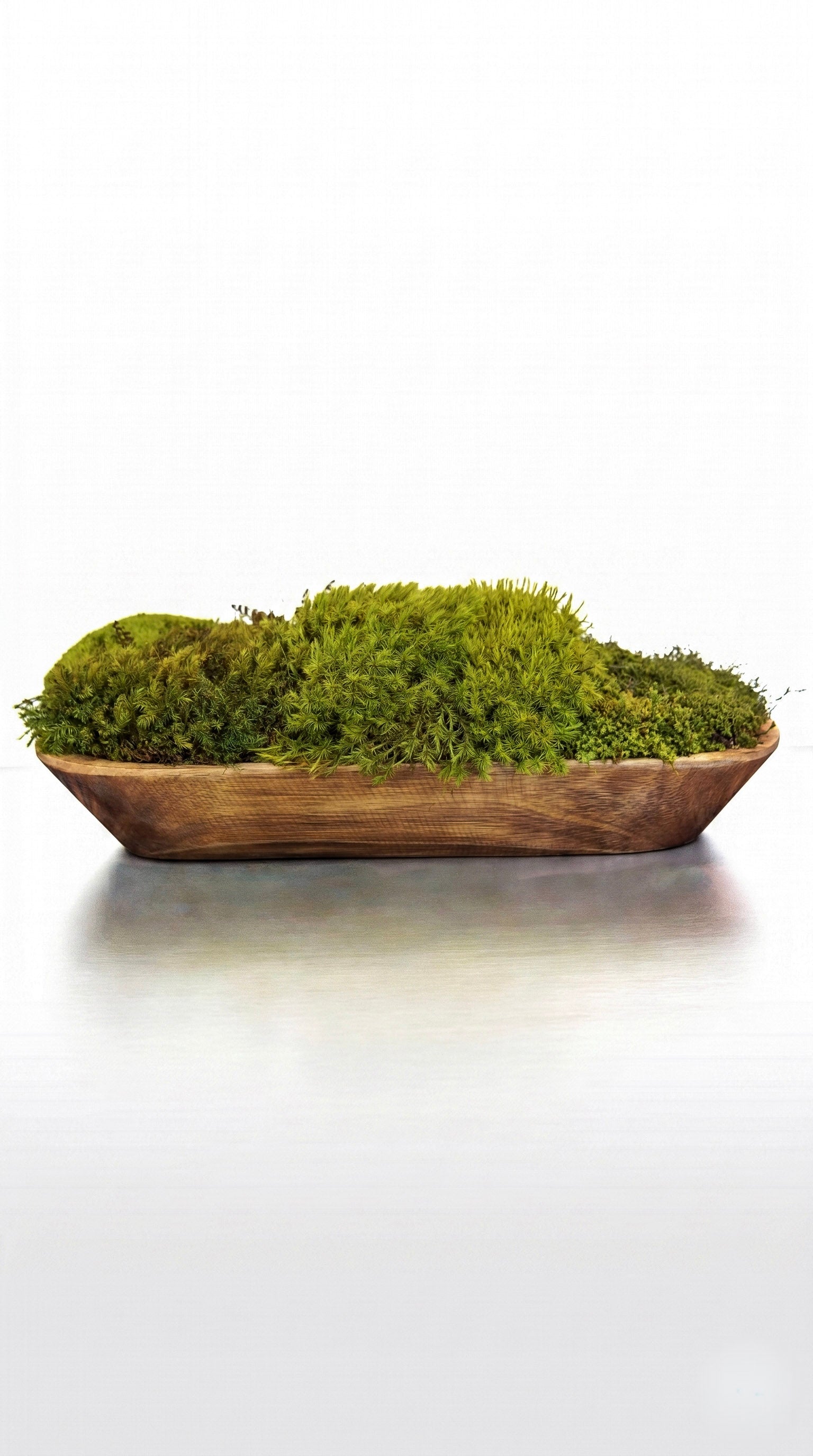 Woodland Canoe II