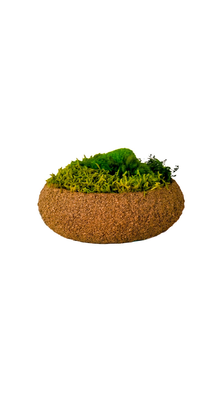Moss Bowl Texturizado Cobre