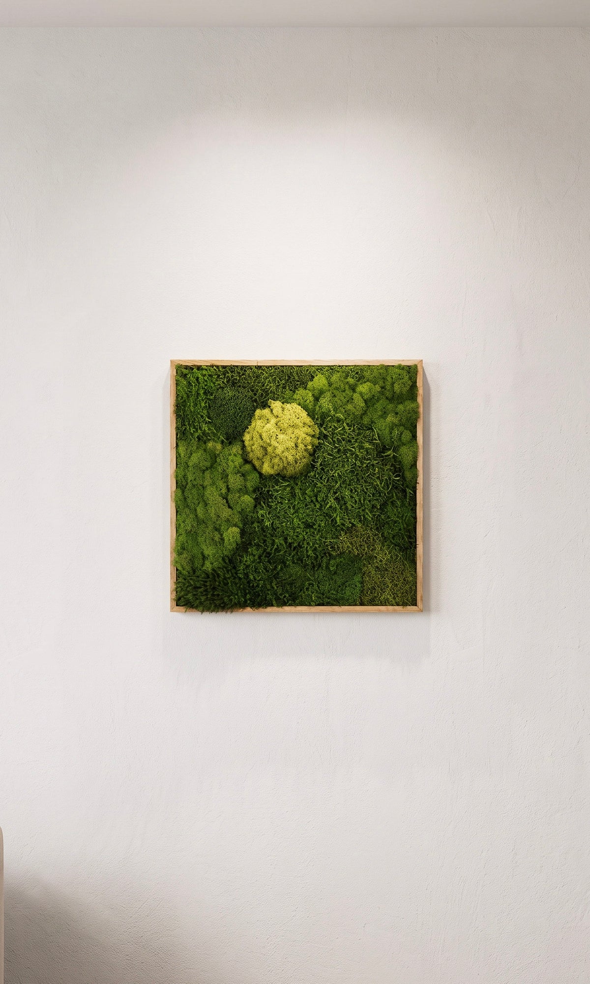 Quadro 50 x 50 Natural III