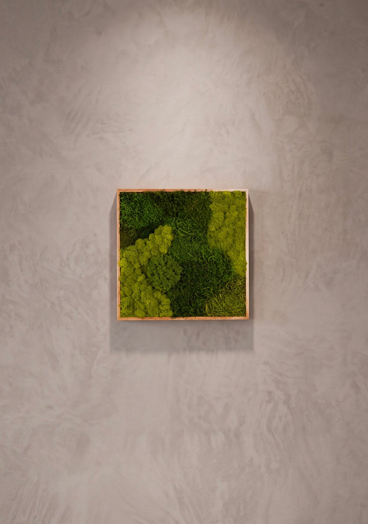 Quadro 50 x 50 Natural IV