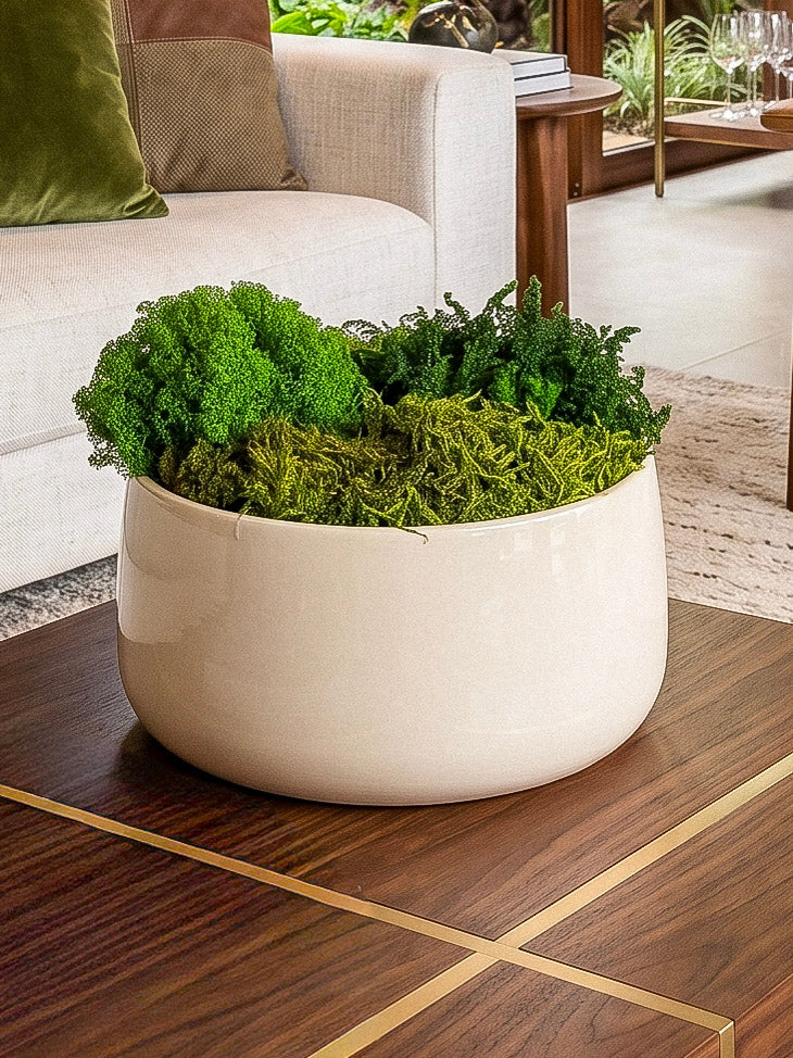 Ivory Moss Bowl II