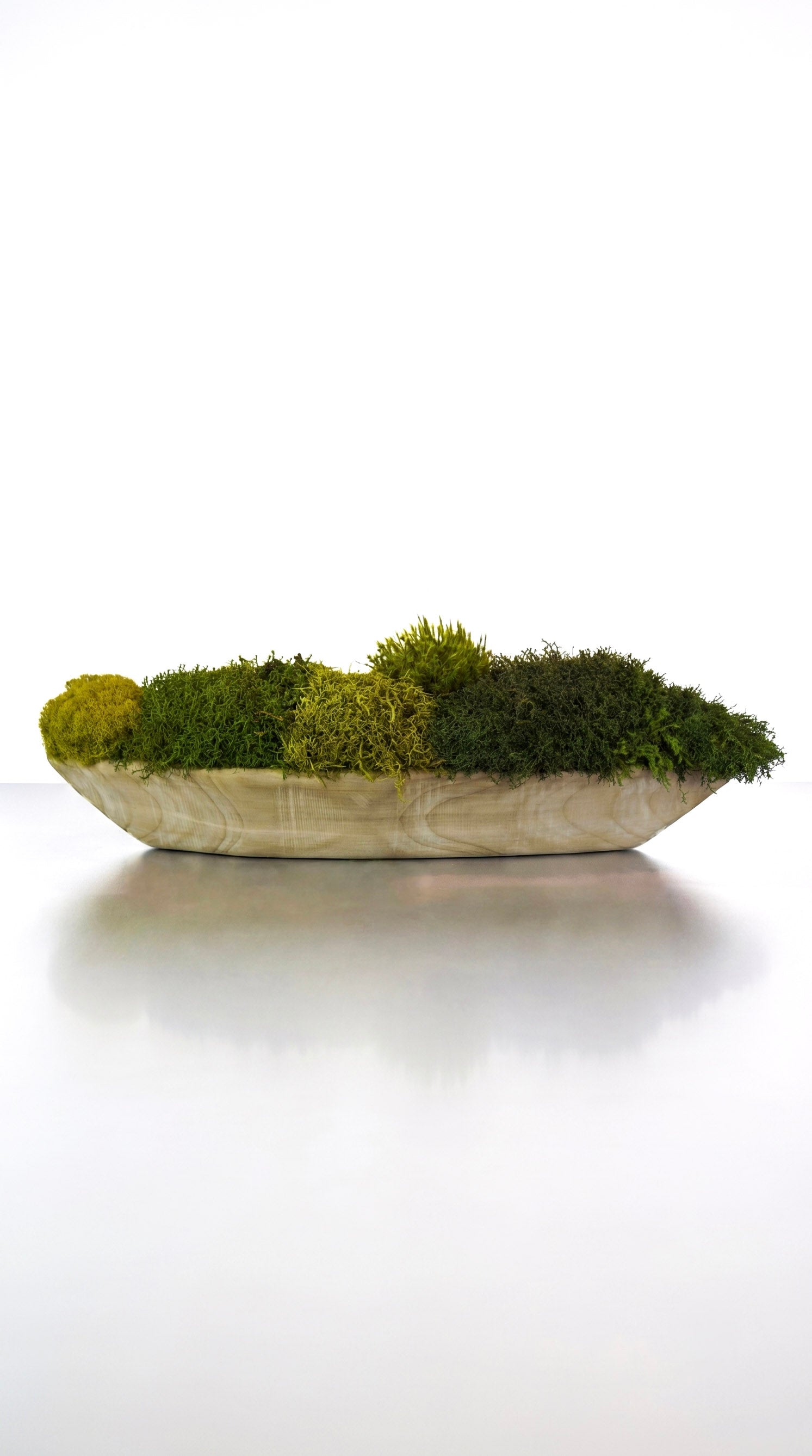 Woodland Canoe III