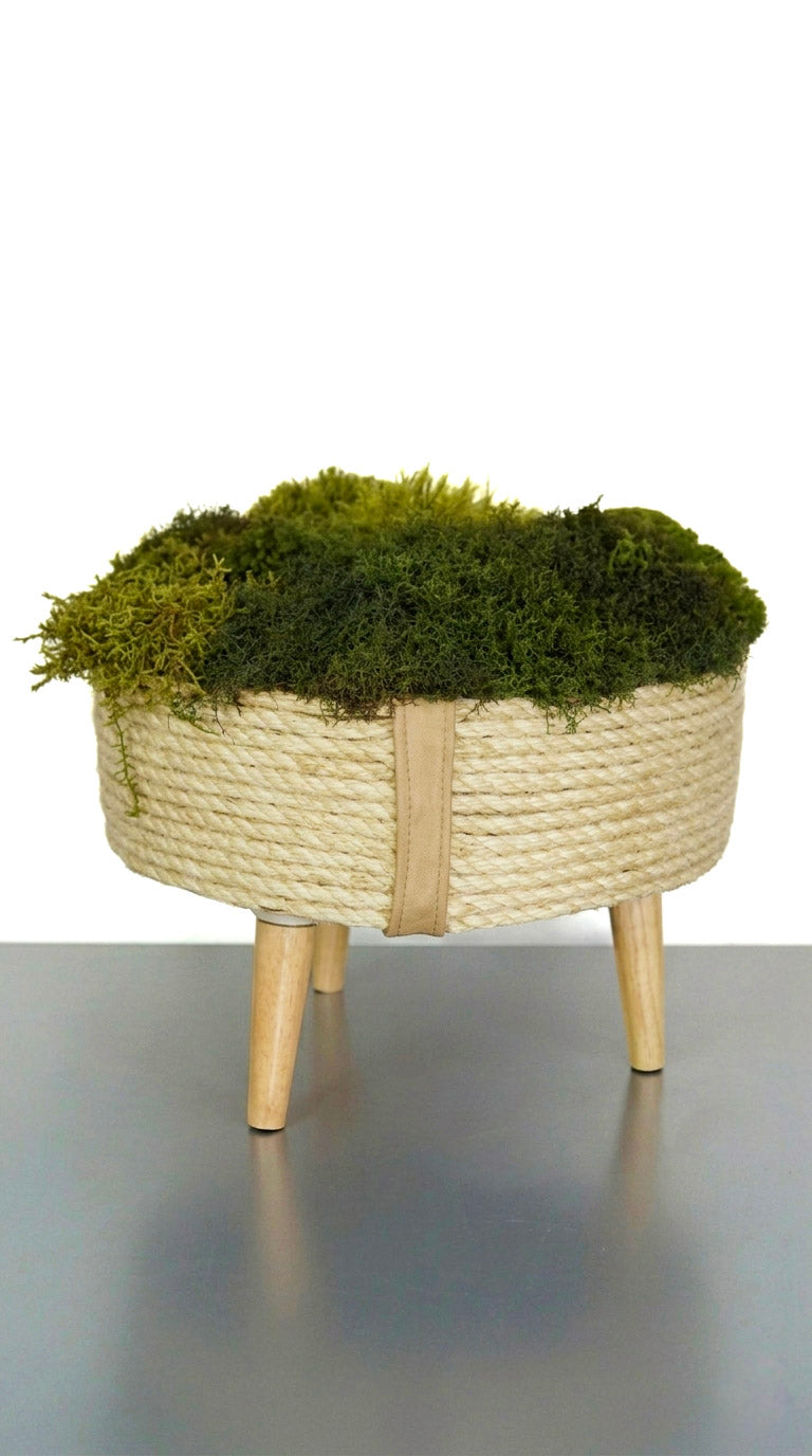 Nature l